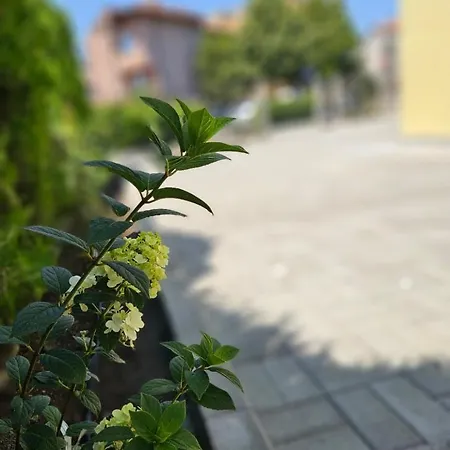 естрела * Ράβντα